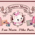 Bonjour Marie