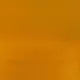 Amsterdam All Acrylics Standard Series Acrylic Tube 20 ml Gold ochre 231