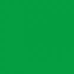 Talens Art Creation Oil Colour Tube 40 ml Light Green 601