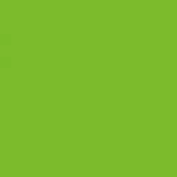 Talens Art Creation Oil Colour Tube 40 ml Yellow Green 617