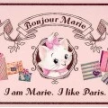 Bonjour Marie