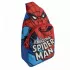 Τσαντάκι Πλάτης 23εκ με Μονό Ιμάντα MARVEL The Amazing Spiderman