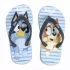 Παντόφλες Flip Flops από EVA BLUEY Μέγεθος 24/25