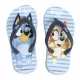 Παντόφλες Flip Flops από EVA BLUEY Μέγεθος 24/25