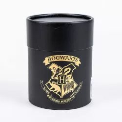 Κάλτσες σε Μαύρο Κουτί Ένα Μέγεθος 38/45 HARRY POTTER (Κουτί με 3 ζευγάρια)