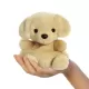 PALM PALS Sunny Labrador Dog Λούτρινο Σκυλάκι Λαμπραντόρ 13εκ