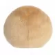 PALM PALS Claire Donut Ντόνατ 13εκ