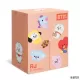 Λούτρινο Κουκλάκι σε Συσκευασία Δώρου BT21 Baby RJ 20εκ