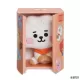 Λούτρινο Κουκλάκι σε Συσκευασία Δώρου BT21 Baby RJ 20εκ