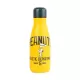 Μεταλλικό Μπουκάλι Hot&Cold 260ml SNOOPY