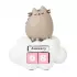 Διαρκές 3D Ημερολόγιο PUSHEEN Purrfect Love Collection