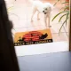 Πατάκι Εισόδου DISNEY Ο ΒΑΣΙΛΙΑΣ ΤΩΝ ΛΙΟΝΤΑΡΙΩΝ Rule the Jungle
