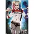Αφίσα 61Χ91,5εκ. DC COMICS Harley Quinn