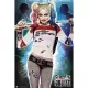 Αφίσα 61Χ91,5εκ. DC COMICS Harley Quinn