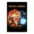 Αφίσα 61Χ91,5εκ. MORTAL KOMBAT 9 Videogame