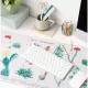 Gaming Pad / Σουμέν XL 35Χ80εκ BOTANICAL Cacti