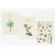Σετ 3 Τετραδίων Α5/15X21 BOTANICAL Cacti by Kokonote