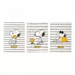 Σετ 3 Τετραδίων Α5/15X21 SNOOPY Lazy Days
