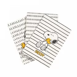 Σετ 3 Τετραδίων Α5/15X21 SNOOPY Lazy Days