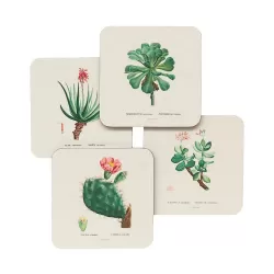 Σετ 4 Σουβέρ BOTANICAL Cacti by Kokonote