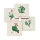 Σετ 4 Σουβέρ BOTANICAL Cacti by Kokonote