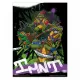Σετ με 2 Μίνι-Αφίσες 38Χ52εκ ΧΕΛΩΝΟΝΙΝΤΖΑΚΙΑ/TMNT (Anime Collection)