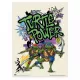Σετ με 2 Μίνι-Αφίσες 38Χ52εκ ΧΕΛΩΝΟΝΙΝΤΖΑΚΙΑ/TMNT (Anime Collection)