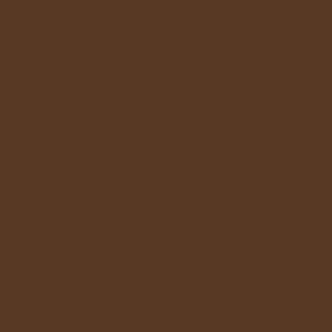 Talens Art Creation Oil Colour Tube 200 ml Burnt Umber 409