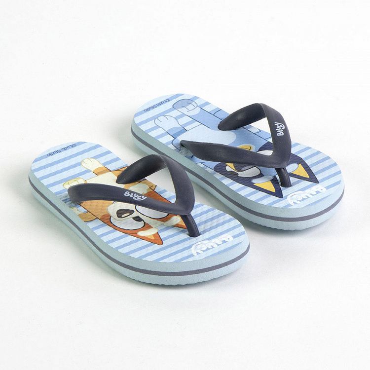 Παντόφλες Flip Flops από EVA BLUEY Μέγεθος 24/25