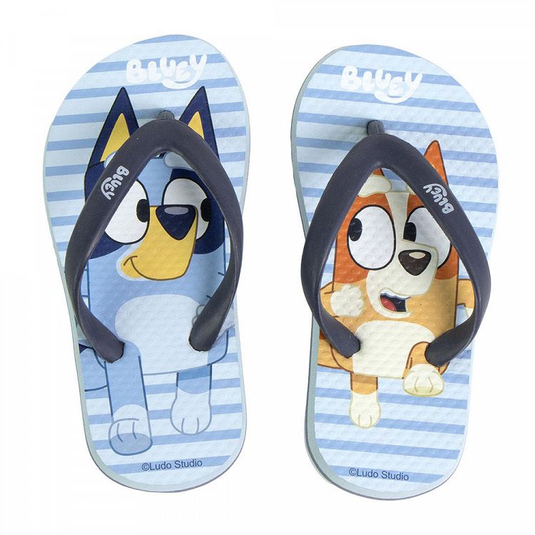 Παντόφλες Flip Flops από EVA BLUEY Μέγεθος 26/27