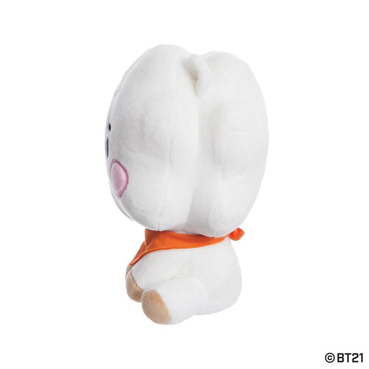 Λούτρινο Κουκλάκι σε Συσκευασία Δώρου BT21 Baby RJ 20εκ