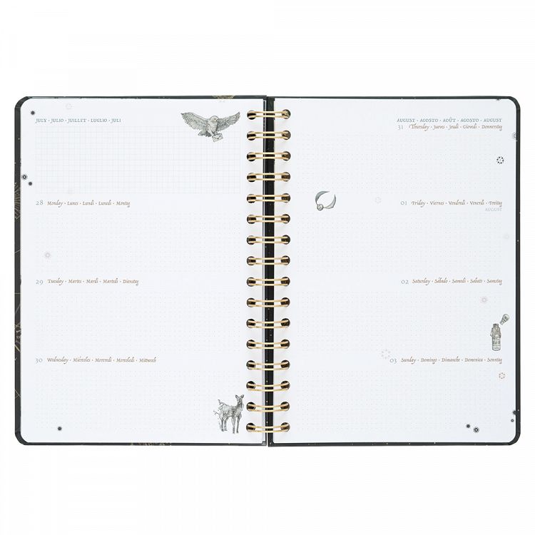 HARRY POTTER Calendar 2025 Weekly 15X21/A5 