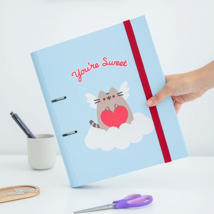 Premium Κλασέρ 2 κρίκων με Λάστιχο PUSHEEN Love Collection