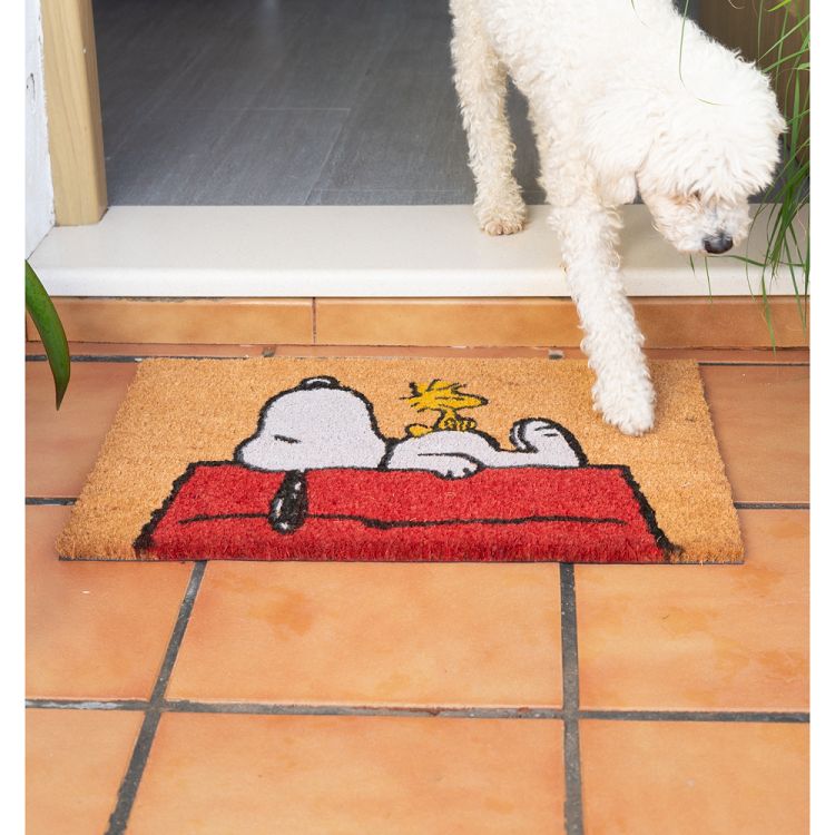 Πατάκι Εισόδου SNOOPY