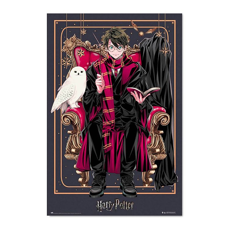 Αφίσα 61Χ91,5εκ. HARRY POTTER Wizard Dynasty