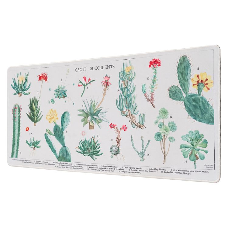 Gaming Pad / Σουμέν XL 35Χ80εκ BOTANICAL Cacti