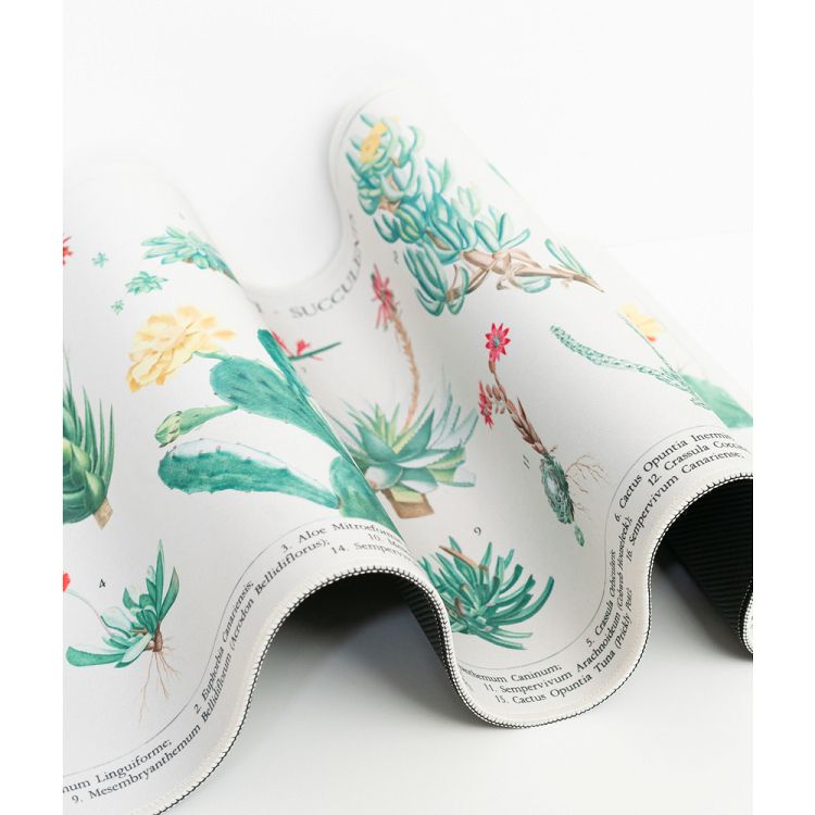 Gaming Pad / Σουμέν XL 35Χ80εκ BOTANICAL Cacti
