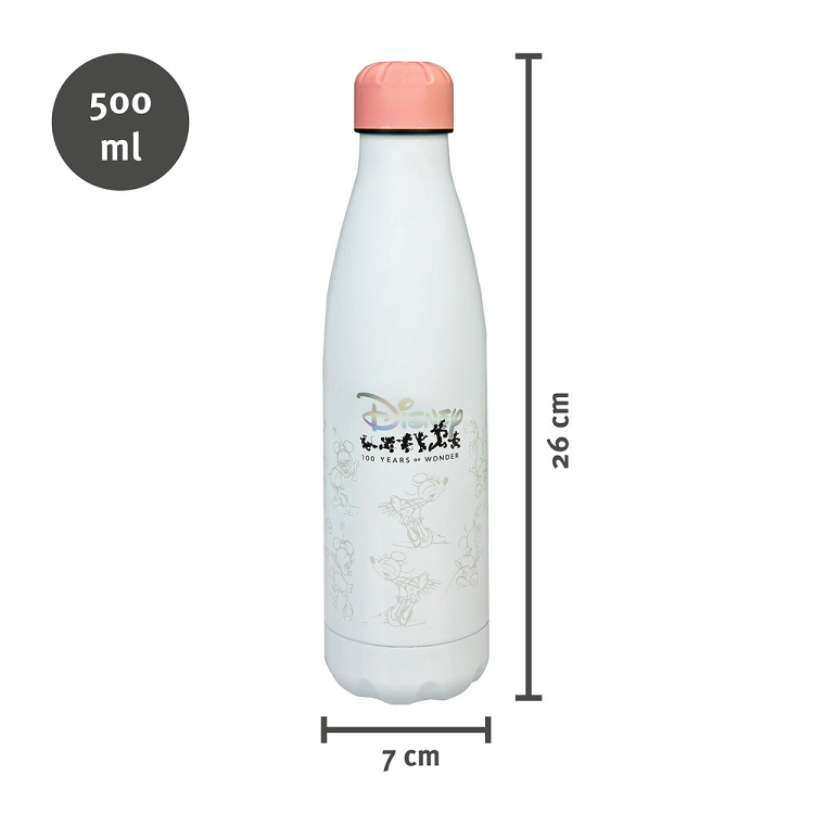 Μεταλλικό Μπουκάλι Θερμός 450ml DISNEY 100th Anniversary