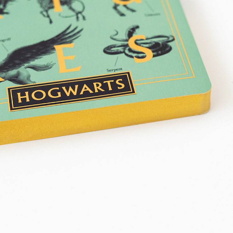Σημειωματάριο A5 HARRY POTTER Magical Creatures