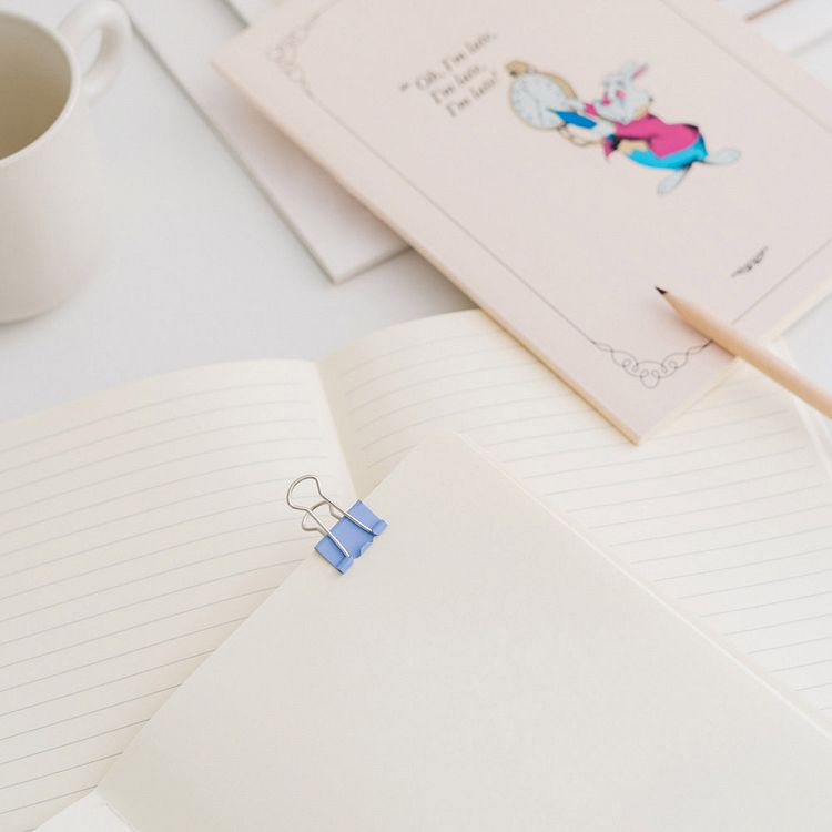 Σετ 3 Τετραδίων Α5/15X21 DISNEY Η Αλίκη στη Χώρα των Θαυμάτων