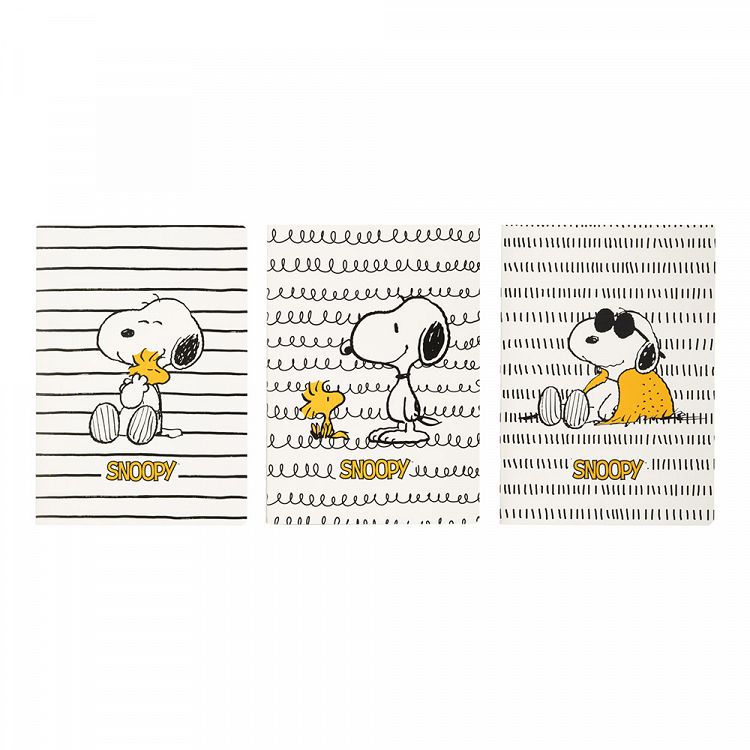 Σετ 3 Τετραδίων Α5/15X21 SNOOPY Lazy Days