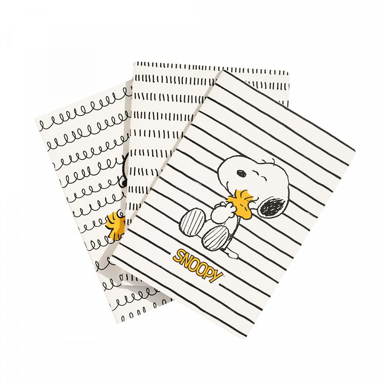 Σετ 3 Τετραδίων Α5/15X21 SNOOPY Lazy Days