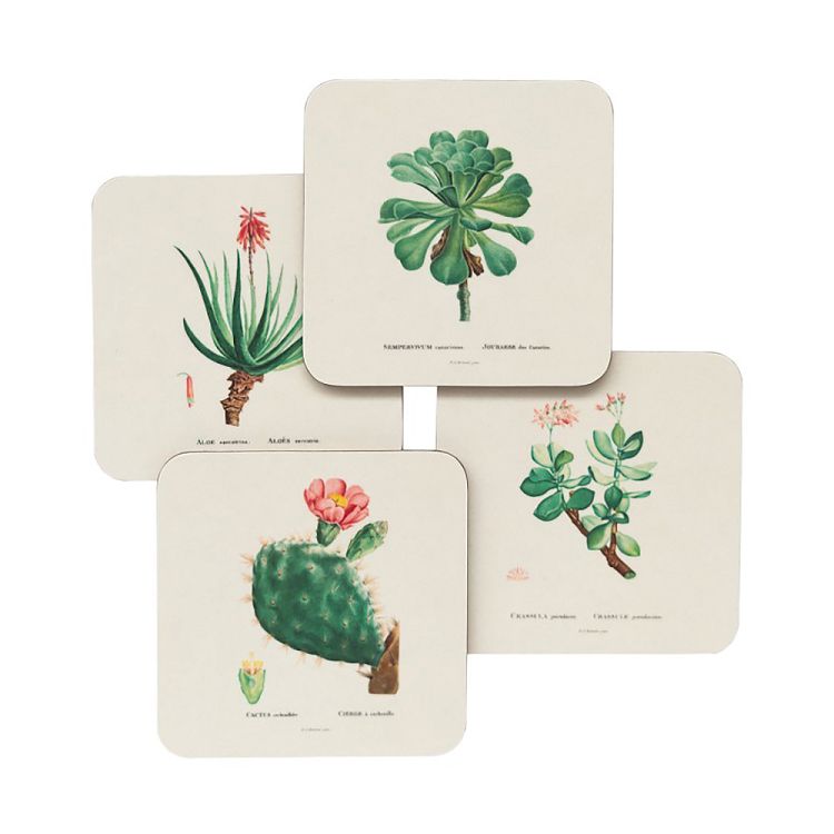 Σετ 4 Σουβέρ BOTANICAL Cacti by Kokonote