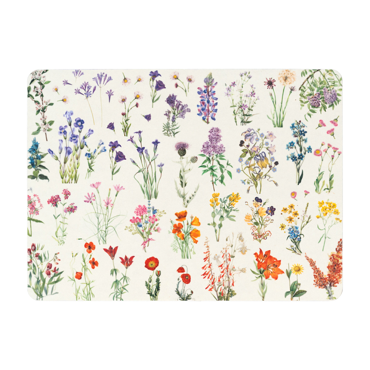 Σετ 4 Σουπλά BOTANICAL Wild Flowers by Kokonote