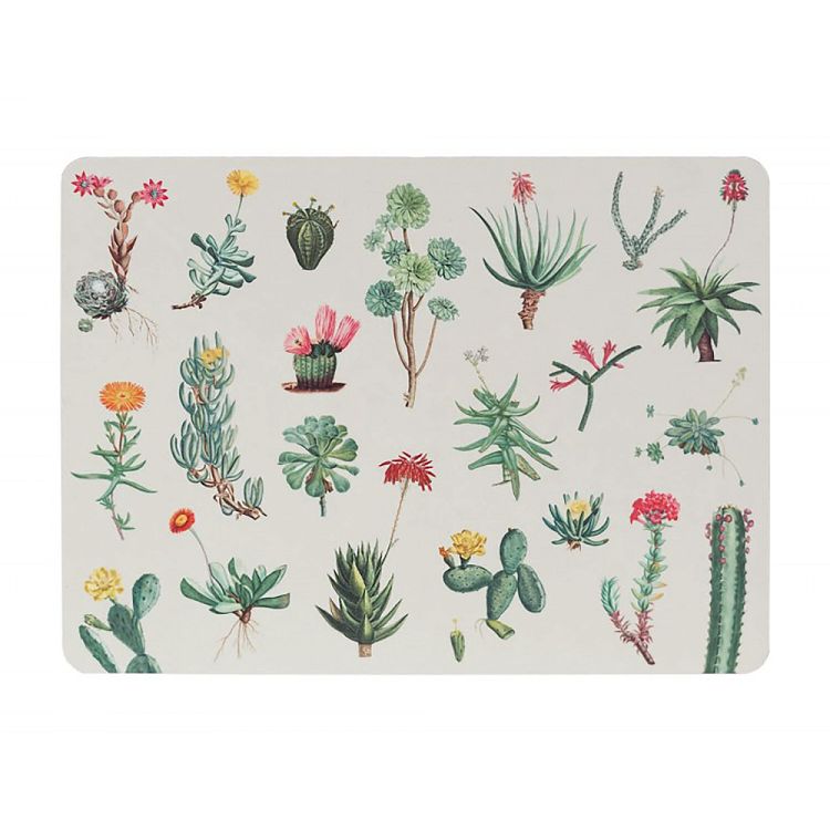 Σετ 4 Σουπλά BOTANICAL Cacti by Kokonote